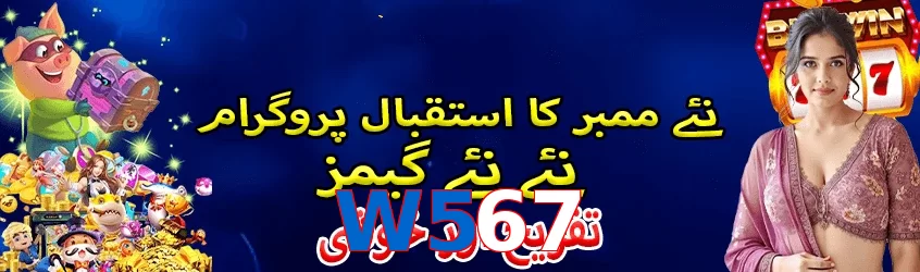 W567 interface sample